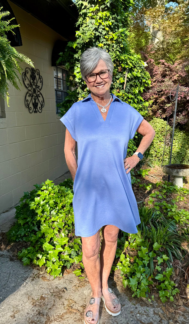 Debbie V Neck Shift Dress