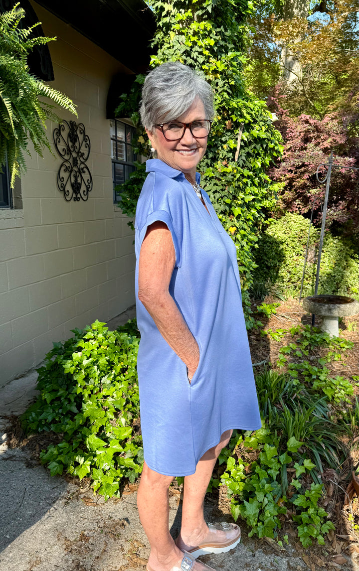 Debbie V Neck Shift Dress