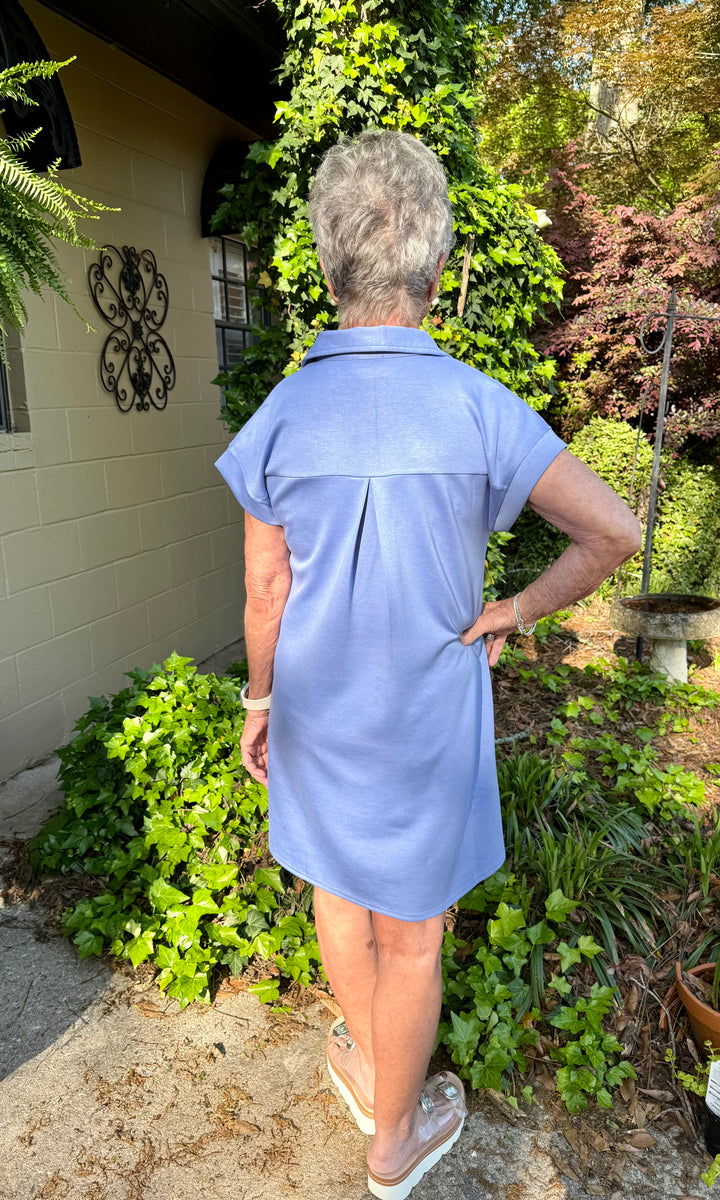 Debbie V Neck Shift Dress