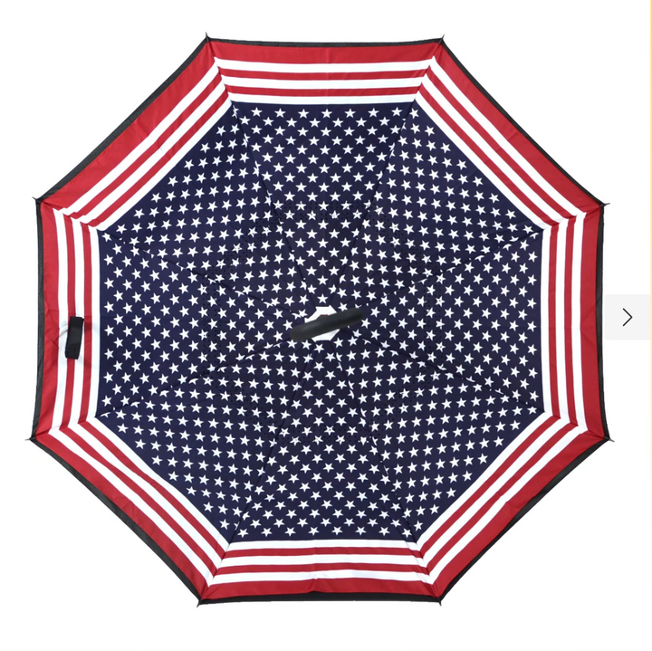Topsy Turvy Umbrella