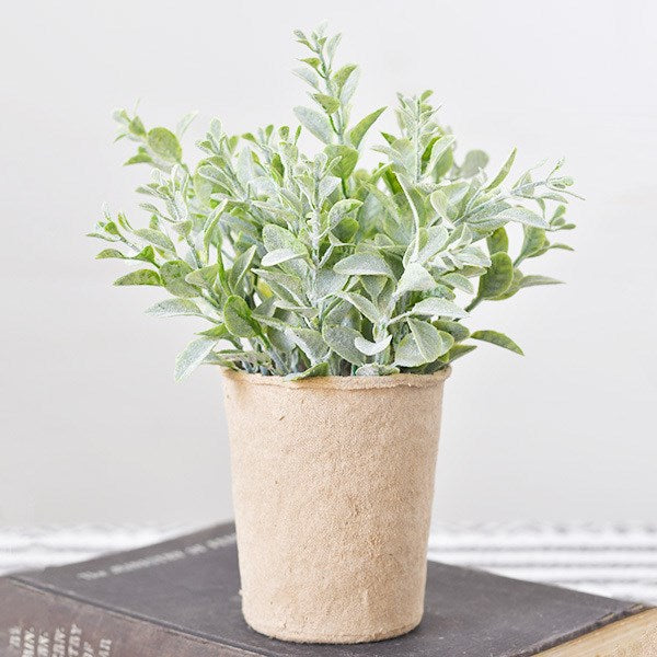 7.5" Leaf Plant Paper Pot