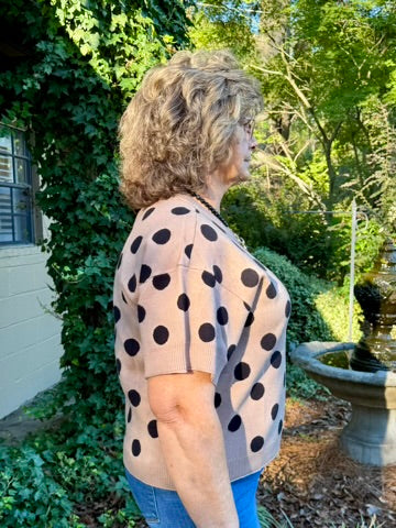 Deana Short Sleeve Polka Dot Sweater