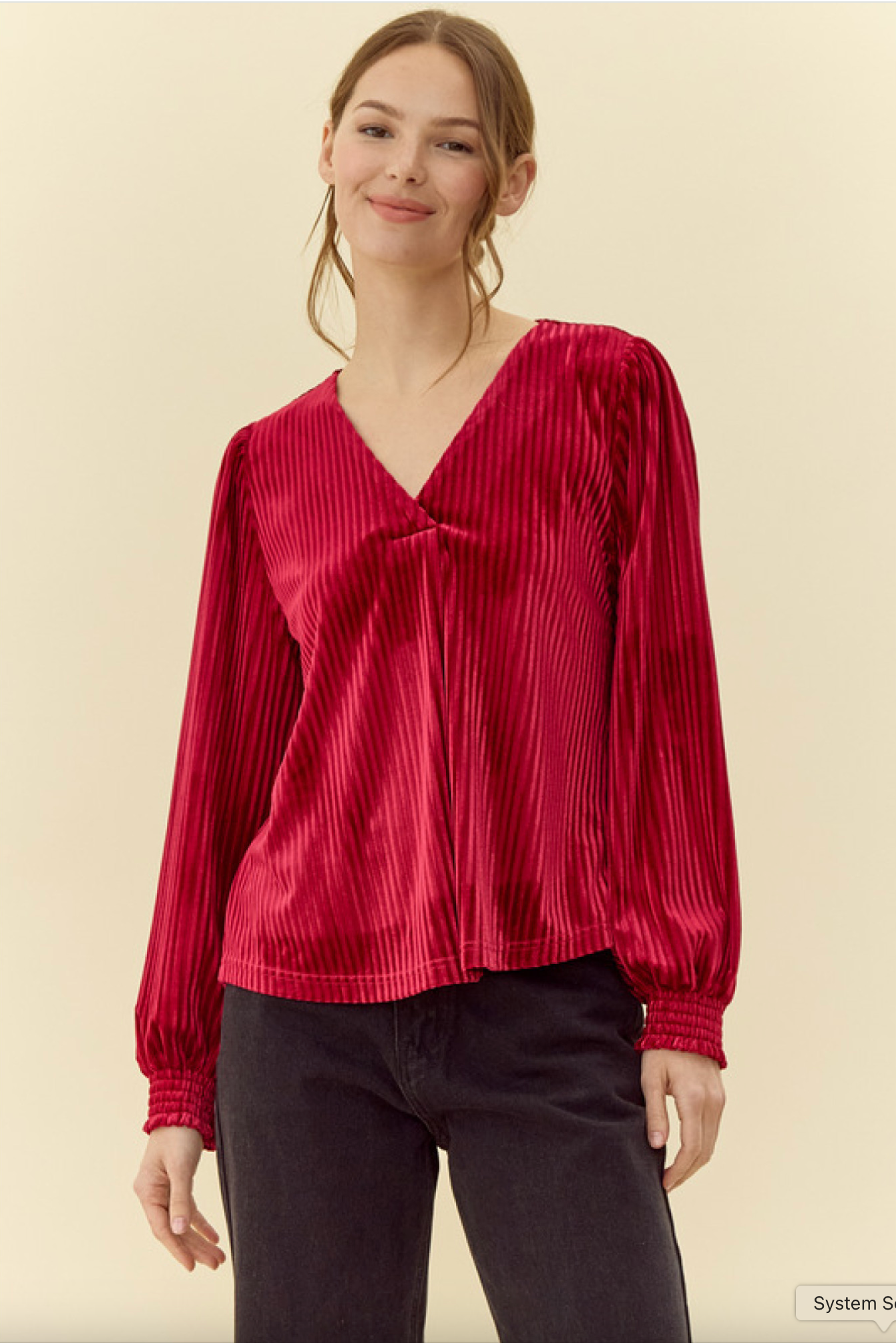 Marianne Velvet Long Sleeve Top